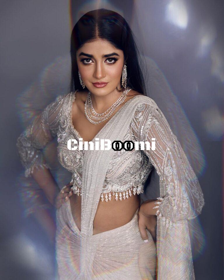 Ravishing Look Of Actress Dimple Hayathi