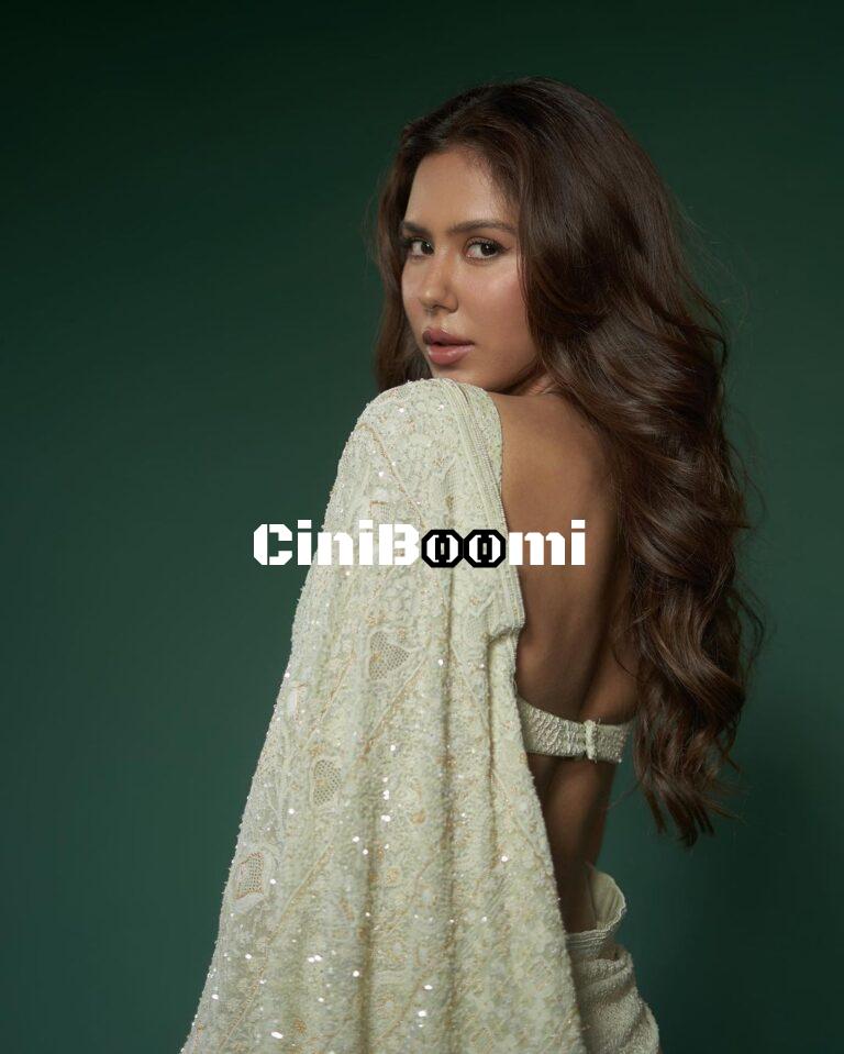 Gorgeous Look Of Actress Sonam Bajwa In Saree