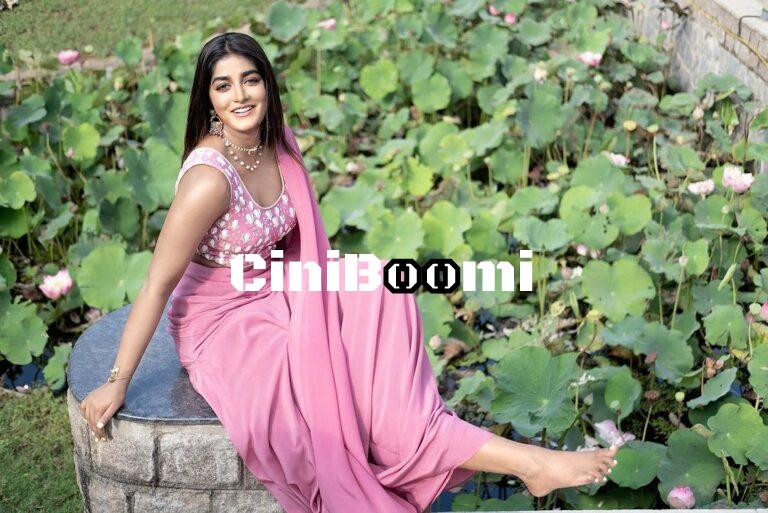 Classy Look Of Actress Dimple Hayathi In Pink Outfit