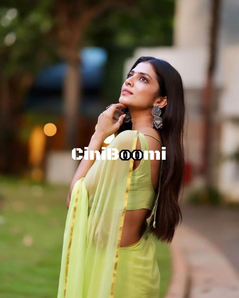Actress Malavika Mohanan Dazzles In Traditional Outfit