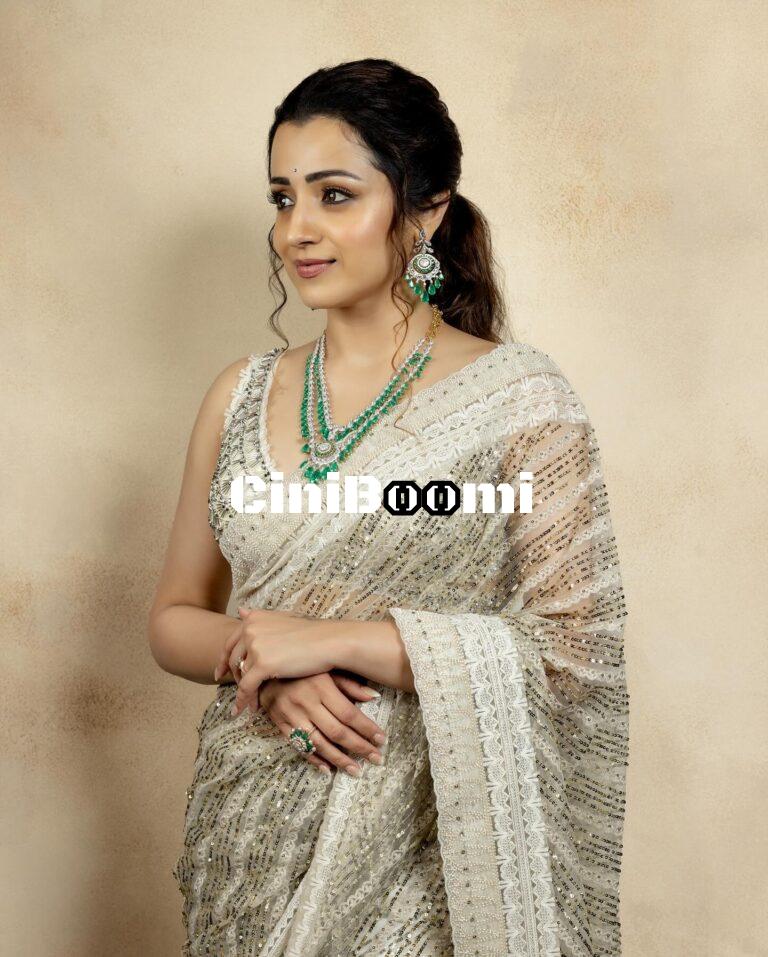 Actress Trisha Redefines Beauty In Traditional Outfit