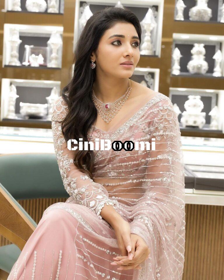 Actress Mirnaa Looks Flawless In Traditional Outfit