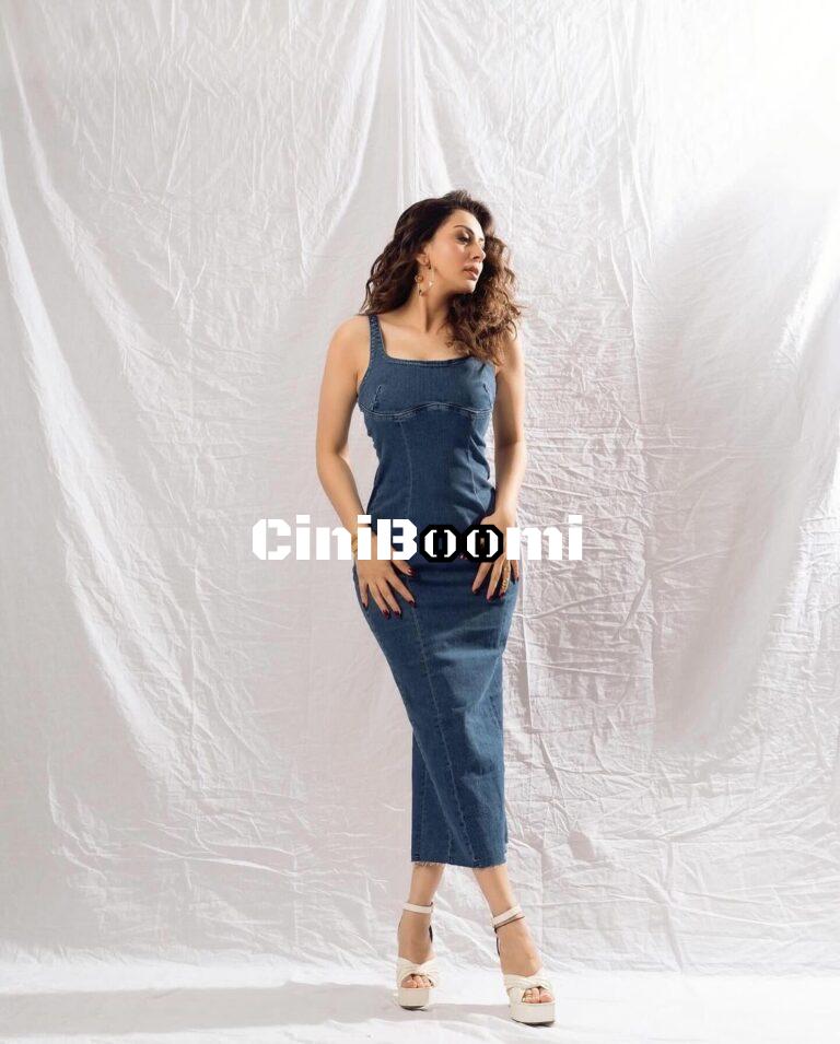 Actress Hansika Motwani Exudes Style In Denim Outfit