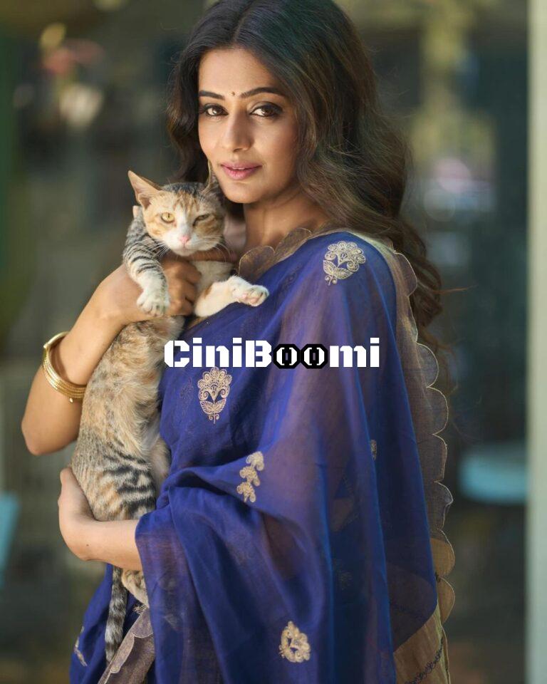 Actress Priya Mani Dazzles In Blue Saree