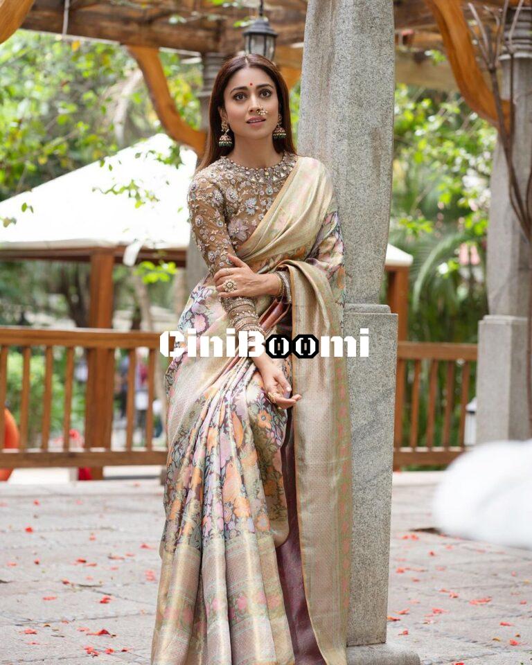 Actress Shriya Saran Channels Her Inner Desi Barbie In Saree