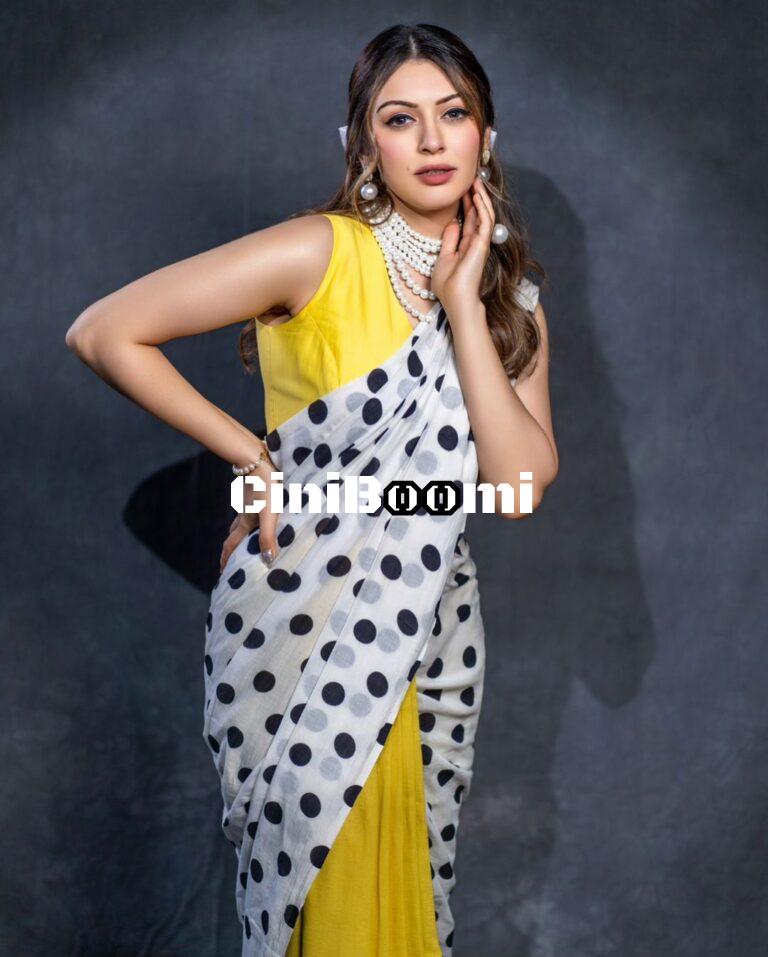 Actress Hansika Motwani Exudes Elegance In Saree