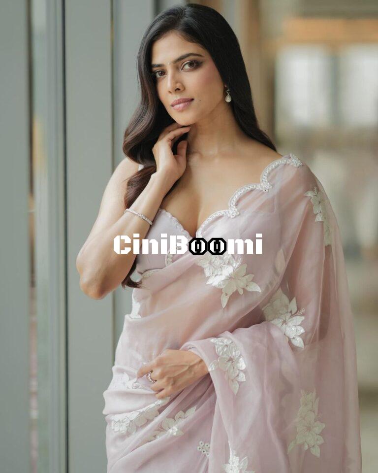 Actress Malavika Mohanan Blends Elegance With Charm In Saree