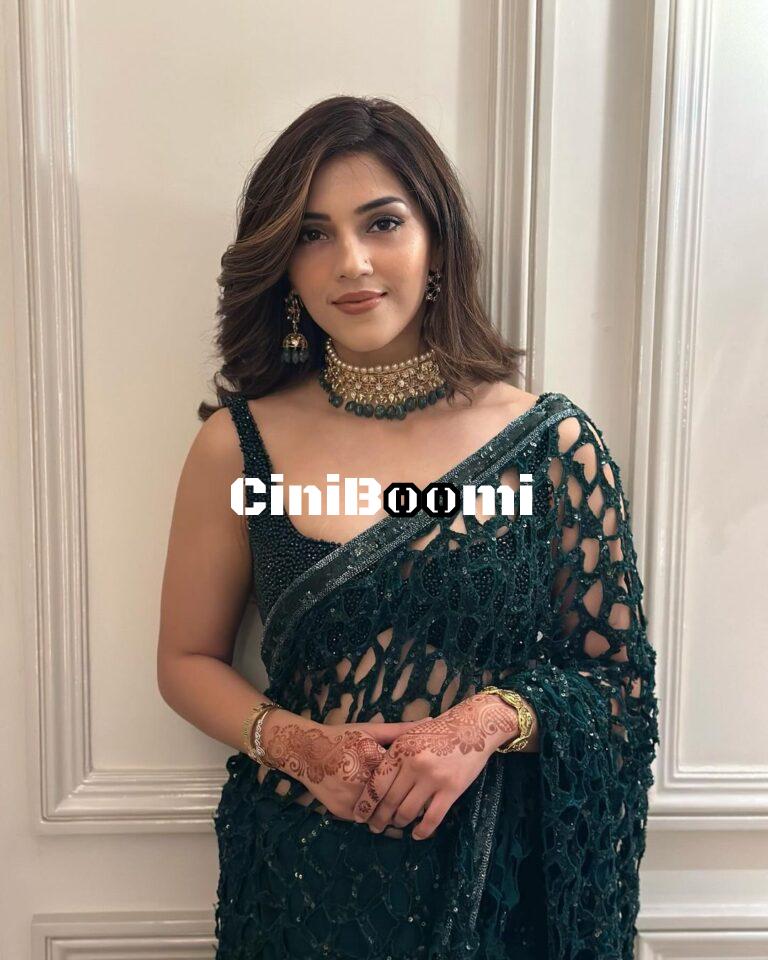 Actress Mehreen Pirzada Blends Elegance With Charm In Saree