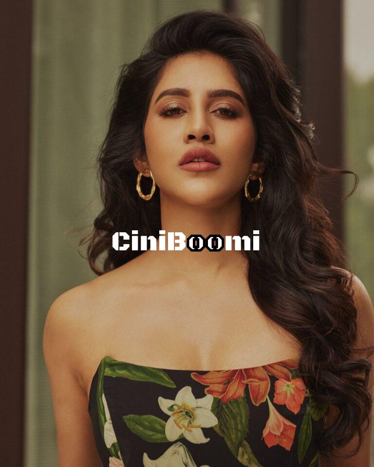 Actress Nabha Natesh Redefines Elegance In Appealing Outfit