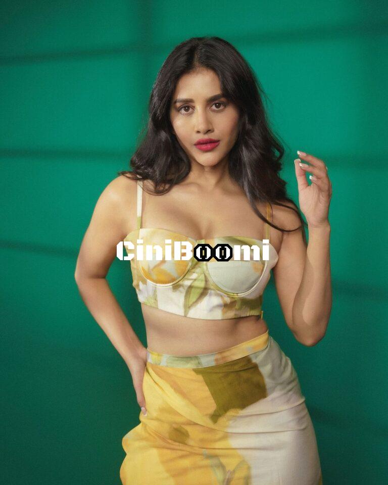 Actress Nabha Natesh Unleashes Her Charisma In Appealing Outfit