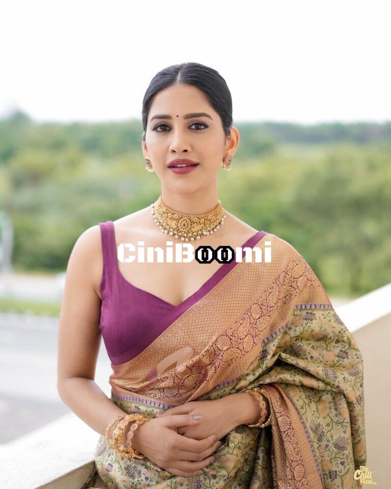 Actress Nabha Natesh Blends Elegance With Charm In Silk Saree