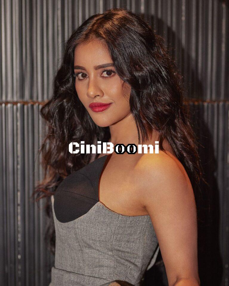 Actress Nabha Natesh Unleashes Her Charisma In Appealing Outfit