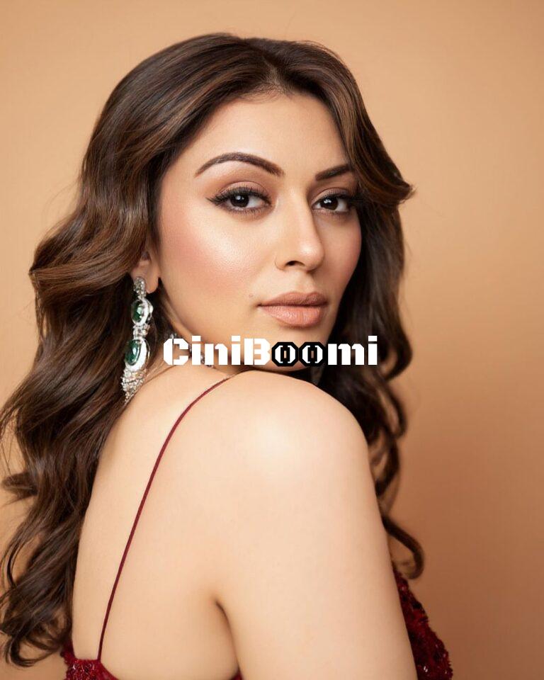 Actress Hansika Radiates Regal Charm In Beautiful Lehenga