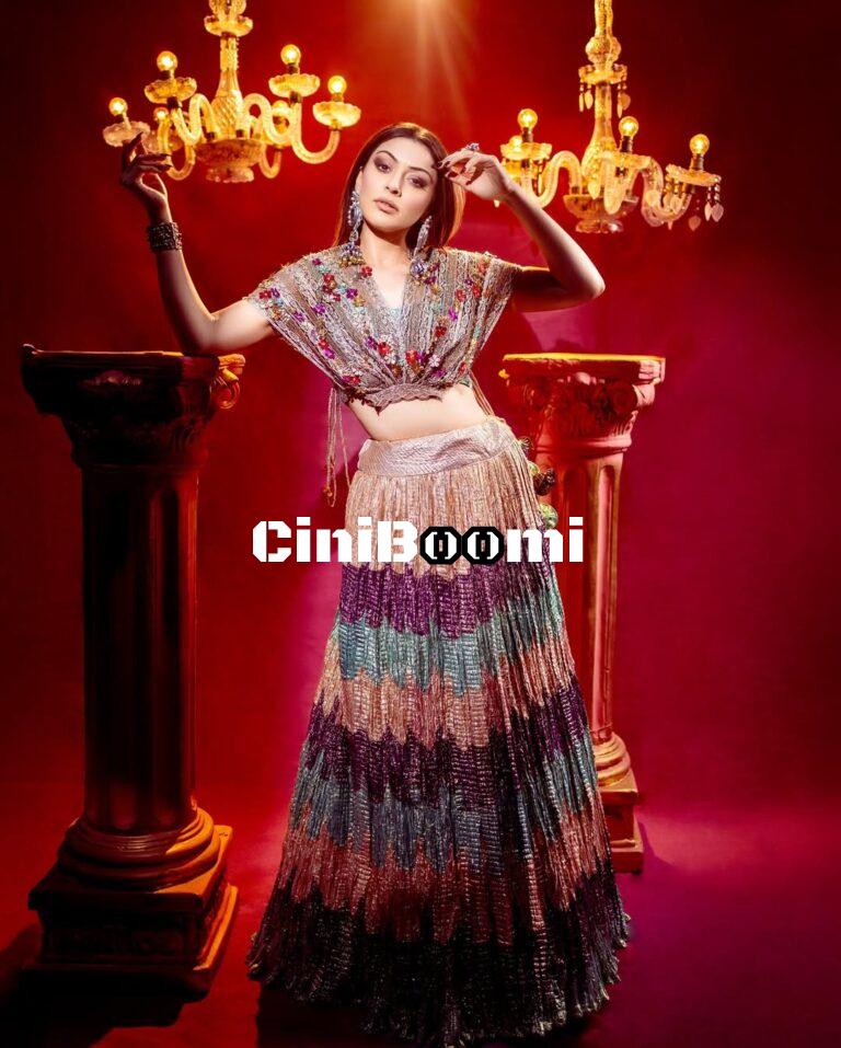 Actress Hansika Motwani Exudes Elegance In Colourful Outfit
